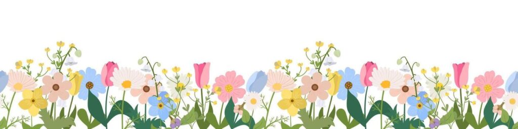 spring or summer seamless horizontal border with blooming flowers on white background multicolored garden flowers in row banner with floral pattern vector